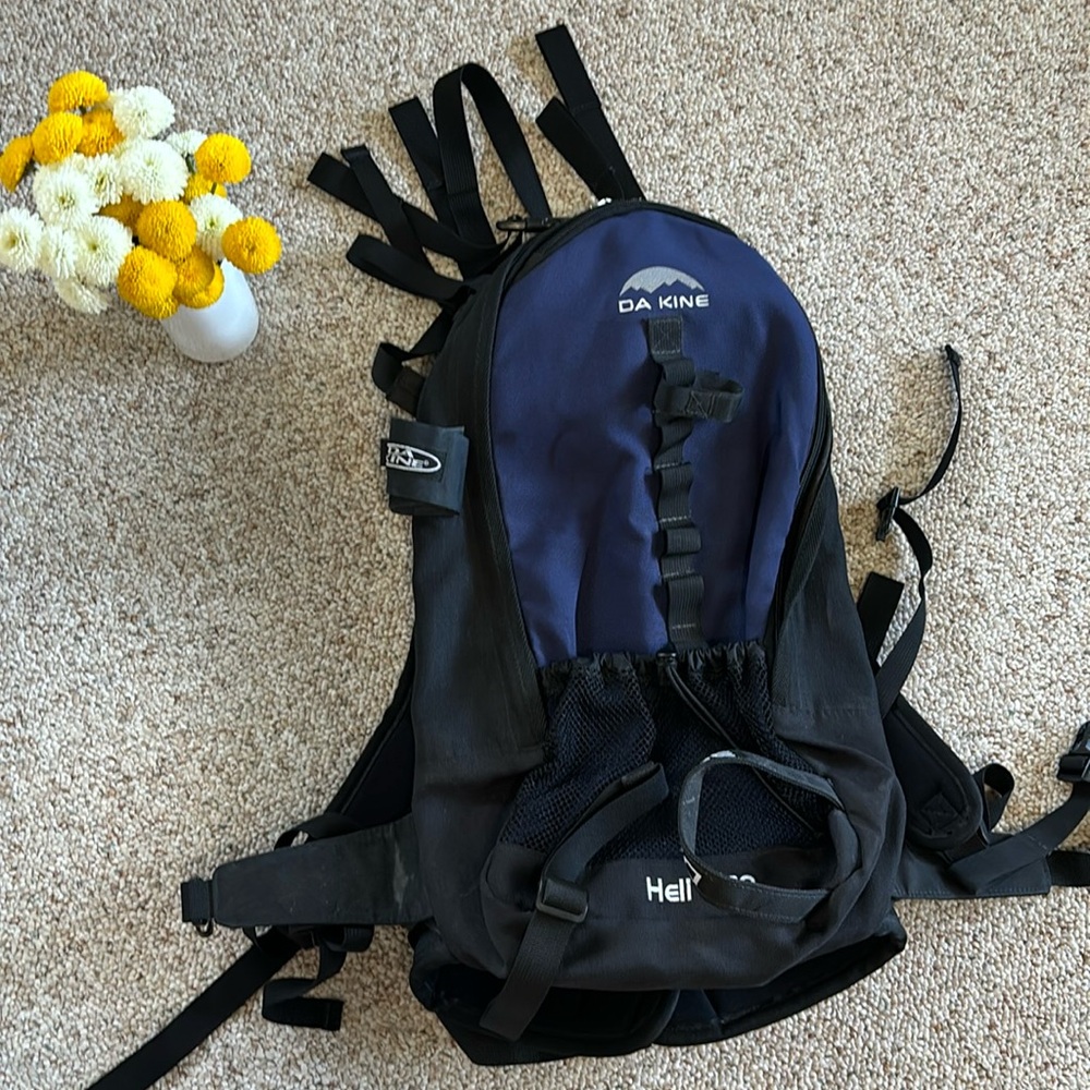 Da Kine backpack